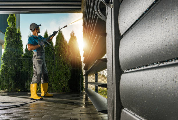 Best Roof Power Washing Services  in Lutz, FL