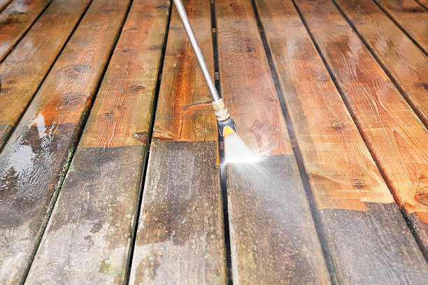 Best Commercial Building Pressure Washing  in Lutz, FL